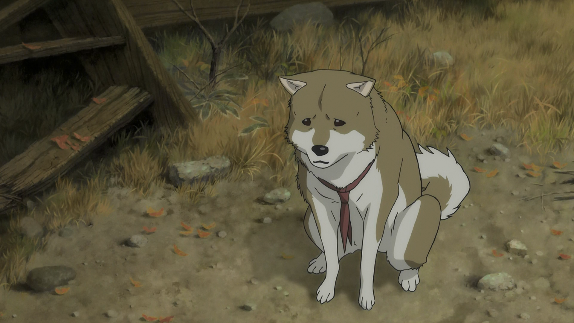 Sword of the Stranger (EvoShare, Hispanime)